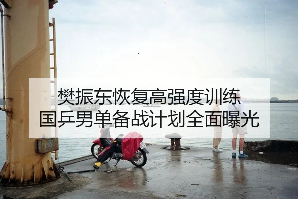 樊振东恢复高强度训练 国乒男单备战计划全面曝光